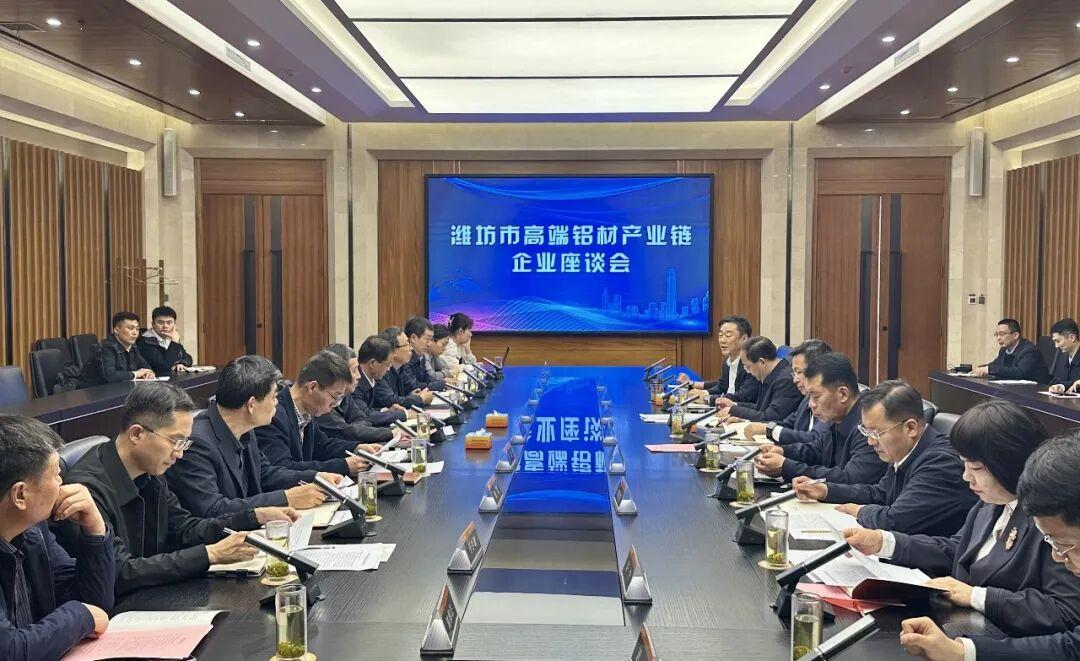 Government and enterprises work together for common development丨Deputy Mayor Zhou Jun conducted a research on the high-end aluminum industry chain in Linqu
