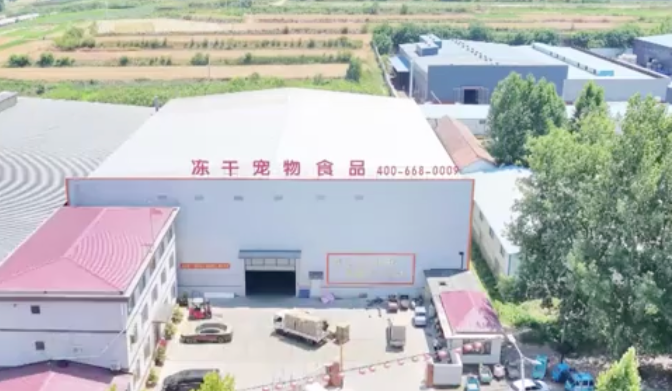 Linqu, Weifang: Small Cute Pets Drive a Billion-Yuan Industry